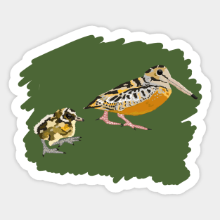 American Woodcock with Baby Chick Sticker